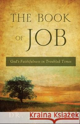 The Book of Job: God's Faithfulness in Troubled Times Jim Halla 9781620207314 Ambassador International - książka