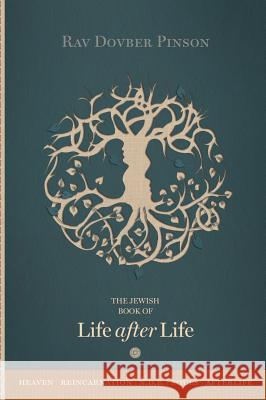 The Book of Life After Life DovBer Pinson 9780991472000 Iyyun Publishing - książka