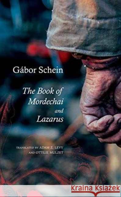 The Book of Mordechai and Lazarus: Two Novels Gabor Schien Ottilie Mulzet Adam Z. Levy 9780857424419 Seagull Books - książka