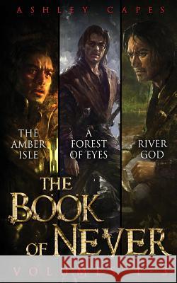 The Book of Never: Volumes 1-3 Ashley Capes 9780994528919 Close-Up Books - książka