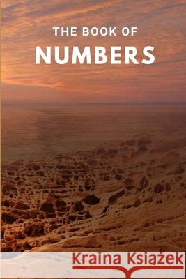 The Book Of Numbers Joe Mandera 9781694200242 Independently Published - książka