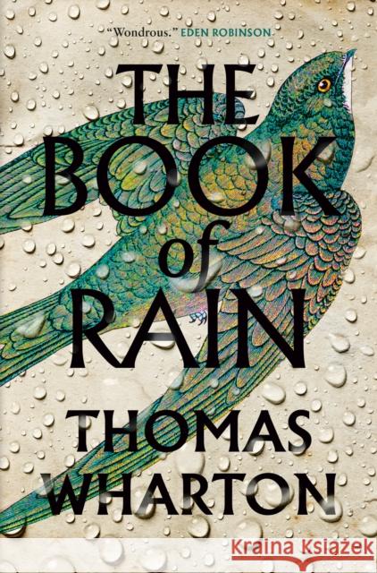 The Book of Rain Thomas Wharton 9781039002432  - książka