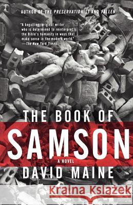 The Book of Samson David Maine 9780312353384 St. Martin's Griffin - książka