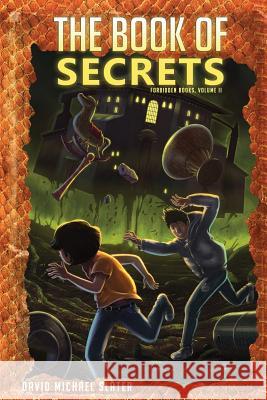 The Book of Secrets David M. Slater 9780998333410 Library Tales Publishing, Incorporated - książka