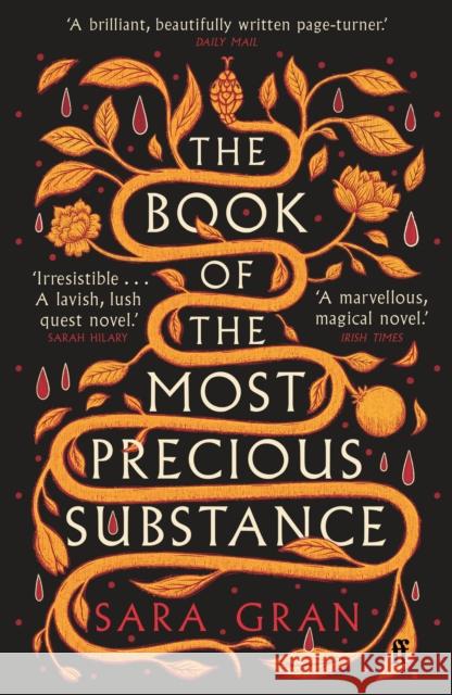 The Book of the Most Precious Substance: Discover this year’s most spellbinding quest novel Sara Gran 9780571375622 Faber & Faber - książka