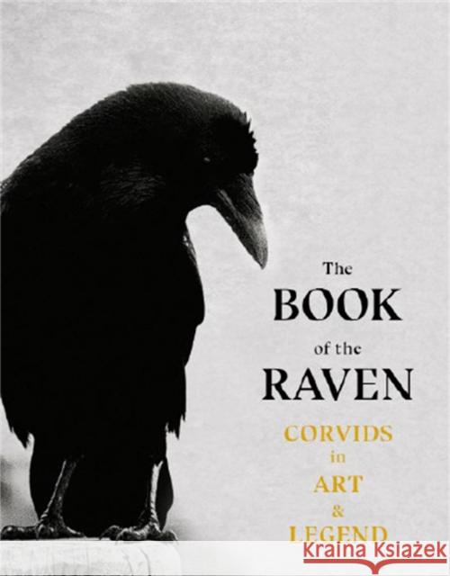 The Book of the Raven: Corvids in Art and Legend Caroline Roberts 9781786277015 Orion Publishing Co - książka