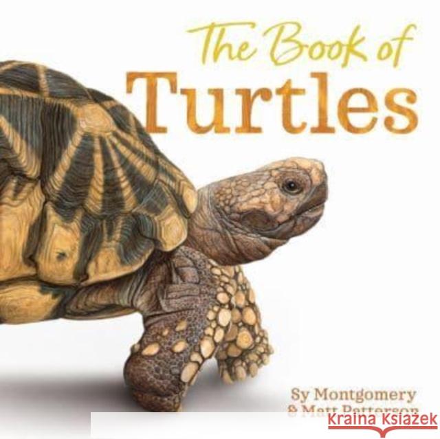 The Book of Turtles Sy Montgomery 9780358458074 HarperCollins Publishers Inc - książka