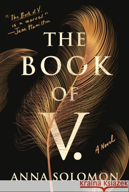 The Book of V.: A Novel Anna Solomon 9781250756459 Henry Holt and Co. - książka