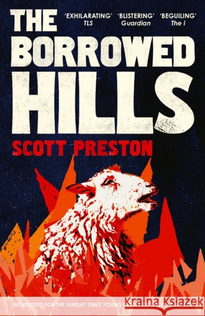 The Borrowed Hills: 'A sucker-punch of a novel' Guardian Scott Preston 9781399812863 John Murray Press - książka
