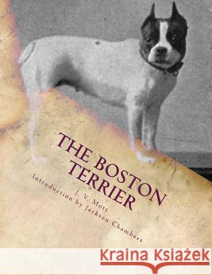 The Boston Terrier J. V. Mott Jackson Chambers 9781507757741 Createspace - książka