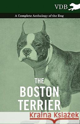 The Boston Terrier - A Complete Anthology of the Dog - Various 9781445526997 Vintage Dog Books - książka