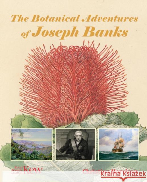 The Botanical Adventures of Joseph Banks Christina Harrison 9781842467152 Royal Botanic Gardens - książka