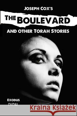 The Boulevard: and other Torah stories Wouter Dreyer Joseph Cox 9781733280105 Big Picture Books - książka