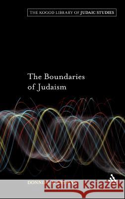 The Boundaries of Judaism Donniel Hartman 9780826496638  - książka