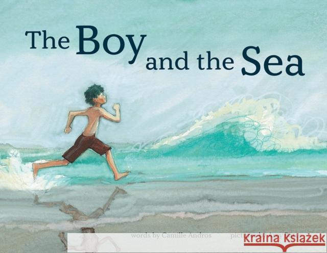 The Boy and the Sea Camille Andros Amy June Bates 9781419749407 Abrams Books for Young Readers - książka