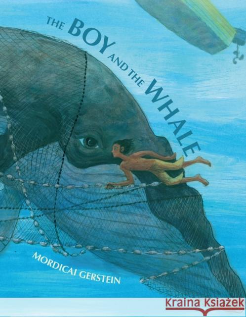 The Boy and the Whale Mordicai Gerstein Mordicai Gerstein 9781626725058 Roaring Brook Press - książka