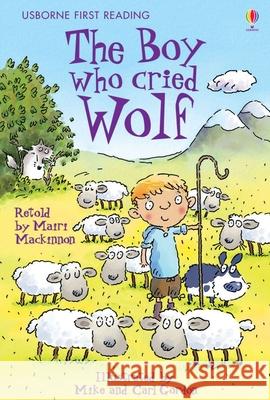The Boy who cried Wolf Mairi Mackinnon 9780746085592 Usborne Publishing Ltd - książka