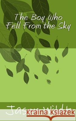 The Boy Who Fell From the Sky Wildt, Jason 9781523214723 Createspace Independent Publishing Platform - książka