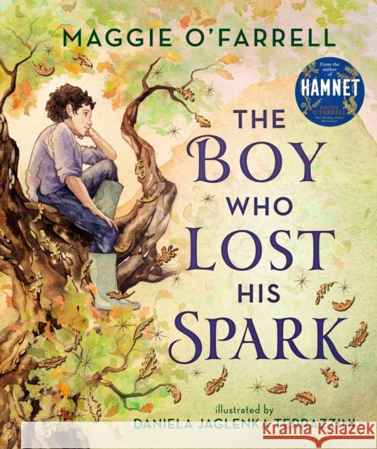 The Boy Who Lost His Spark Maggie O'Farrell 9781406392012 Walker Books Ltd - książka