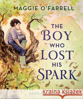 The Boy Who Lost His Spark Maggie O'Farrell Daniela Jaglenka Terrazzini 9781536233933 Walker Books Us - książka