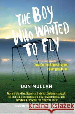 The Boy Who Wanted To Fly Don Mullan 9781907756016  - książka