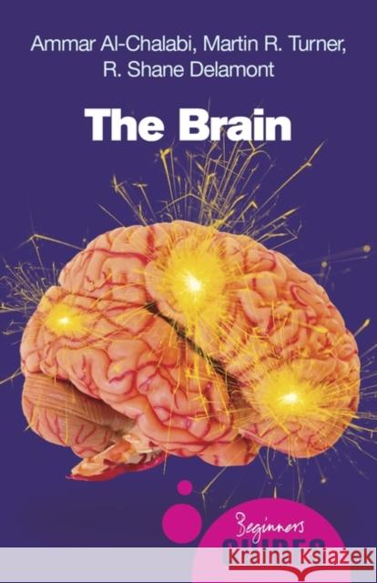 The Brain: A Beginner's Guide R. Shane Delamont 9781851685943 Oneworld Publications - książka