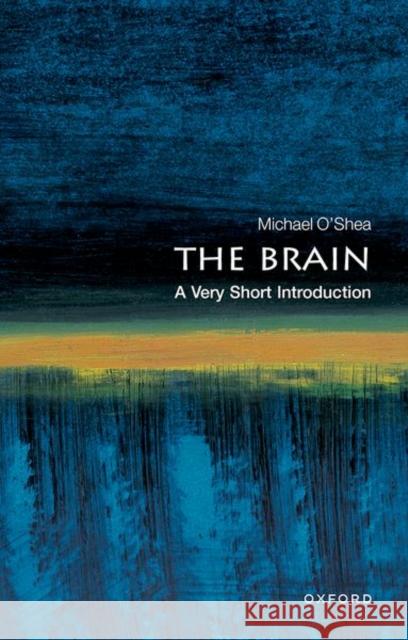 The Brain: A Very Short Introduction Michael O'Shea 9780192853929 Oxford University Press - książka