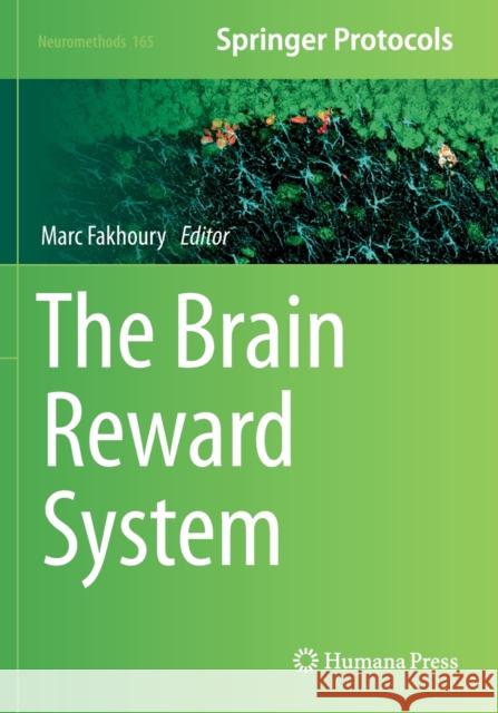 The Brain Reward System  9781071611487 Springer US - książka