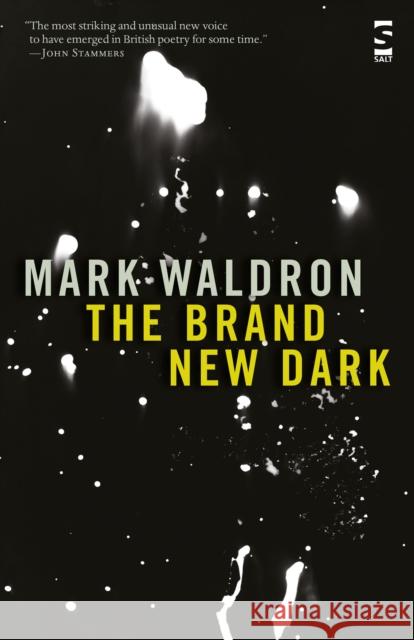 The Brand New Dark Mark Waldron 9781844718177 Salt Publishing - książka