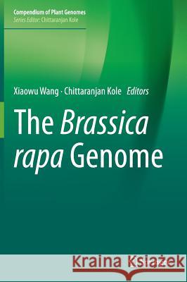 The Brassica Rapa Genome Wang, Xiaowu 9783662479001 Springer - książka