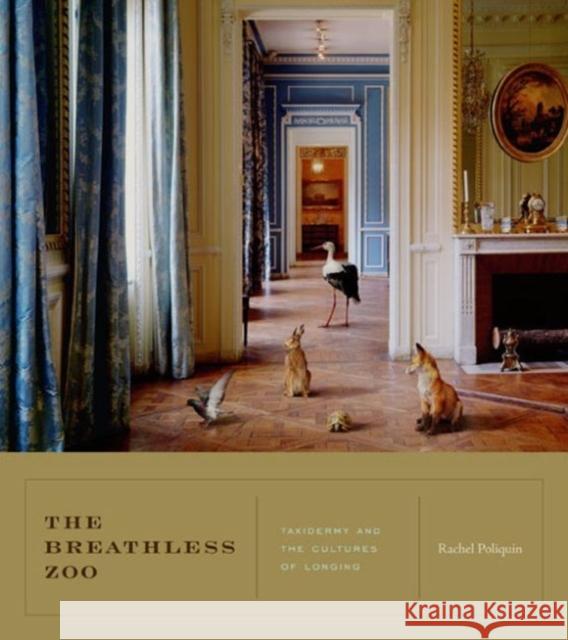 The Breathless Zoo: Taxidermy and the Cultures of Longing Poliquin, Rachel 9780271053738 Penn State University Press - książka