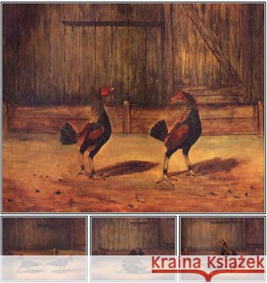The Breeding and Management of Fighting Cocks Everard Simpson 9781905124084 Read Country Books - książka