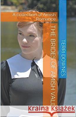The Brides of Amish Valley Terri Downes 9798215675632 Trellis Publishing - książka