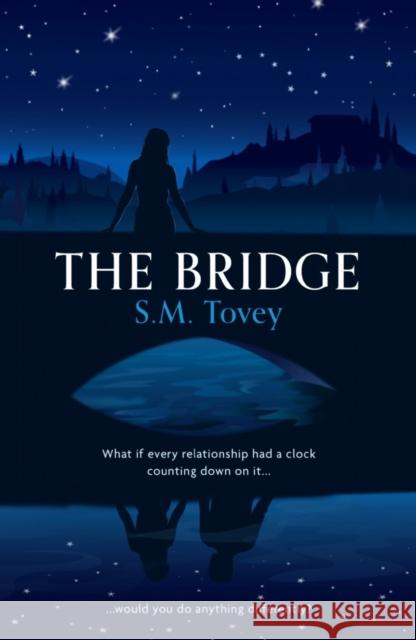 The Bridge S. M. Tovey 9781800462892 Troubador Publishing - książka