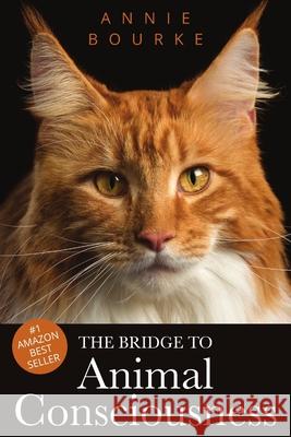 The Bridge to Animal Consciousness (paperback) Annie Bourke 9781387840502 Lulu.com - książka