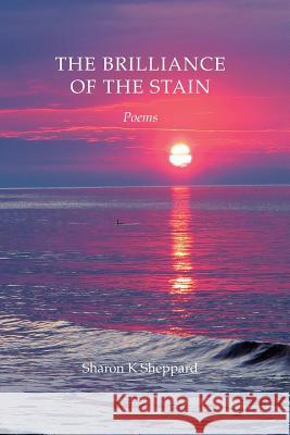 The Brilliance of the Stain Sharon K. Sheppard 9781070630823 Independently Published - książka