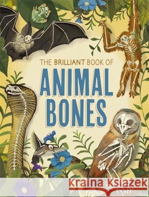 The Brilliant Book of Animal Bones Anna Claybourne 9781526312471 Hachette Children's Group - książka