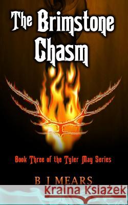 The Brimstone Chasm: 3: The Tyler May series B. J. Mears, B. J. Mears, Edward Field 9780957412446 The Dream Loft - książka