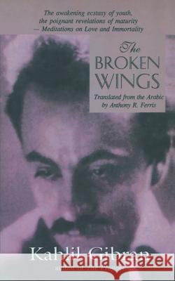 The Broken Wings Kahlil Gibran 9788187075165 Srishti Publishers & Distributors - książka