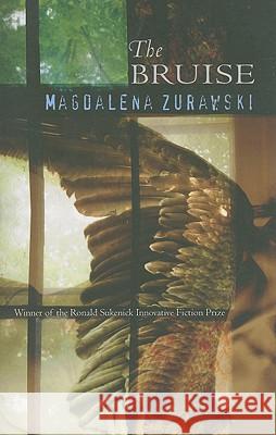 The Bruise Magdalena Zurawski 9781573661447 F2c - książka