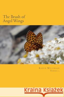 The Brush of Angel Wings Karen Molenaar Terrell 9781547263134 Createspace Independent Publishing Platform - książka