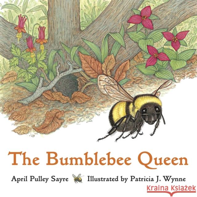 The Bumblebee Queen April Pulley Sayre Patricia J. Wynne 9781570913631 Charlesbridge Publishing,U.S. - książka