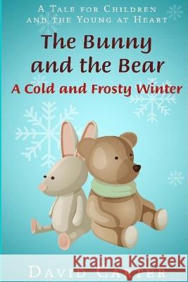 The Bunny and the Bear: A Cold and Frosty Winter David Carter 9781548915957 Createspace Independent Publishing Platform - książka