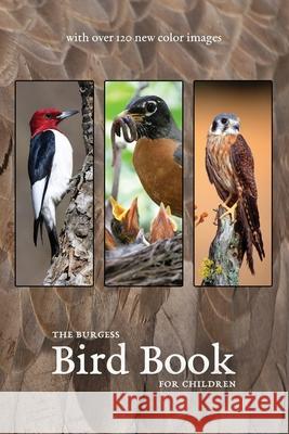 The Burgess Bird Book with new color images Thornton Burgess 9781922634290 Living Book Press - książka