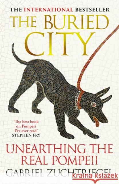 The Buried City: Unearthing the Real Pompeii - the Instant Sunday Times Bestseller Gabriel Zuchtriegel 9781399731171 Hodder & Stoughton - książka