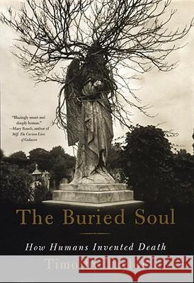 The Buried Soul: How Humans Invented Death Timothy Taylor 9780807046678 Beacon Press - książka