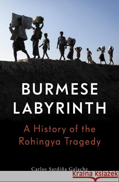 The Burmese Labyrinth Carlos Sardina Galache 9781788733212 Verso - książka
