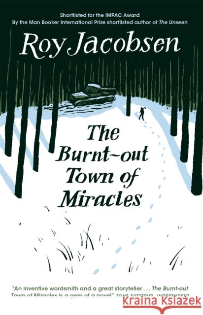 The Burnt-Out Town of Miracles Jacobsen, Roy 9780857057976 Quercus Publishing - książka