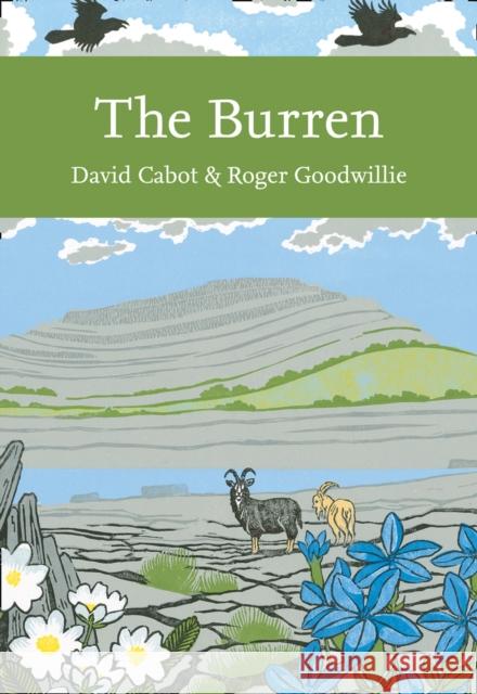 The Burren David Cabot Roger Goodwillie 9780008183790 HarperCollins Publishers - książka