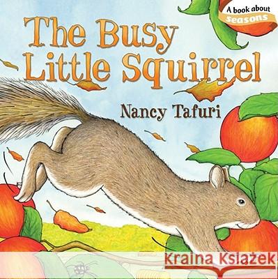 The Busy Little Squirrel Nancy Tafuri Nancy Tafuri 9781442407213 Little Simon - książka